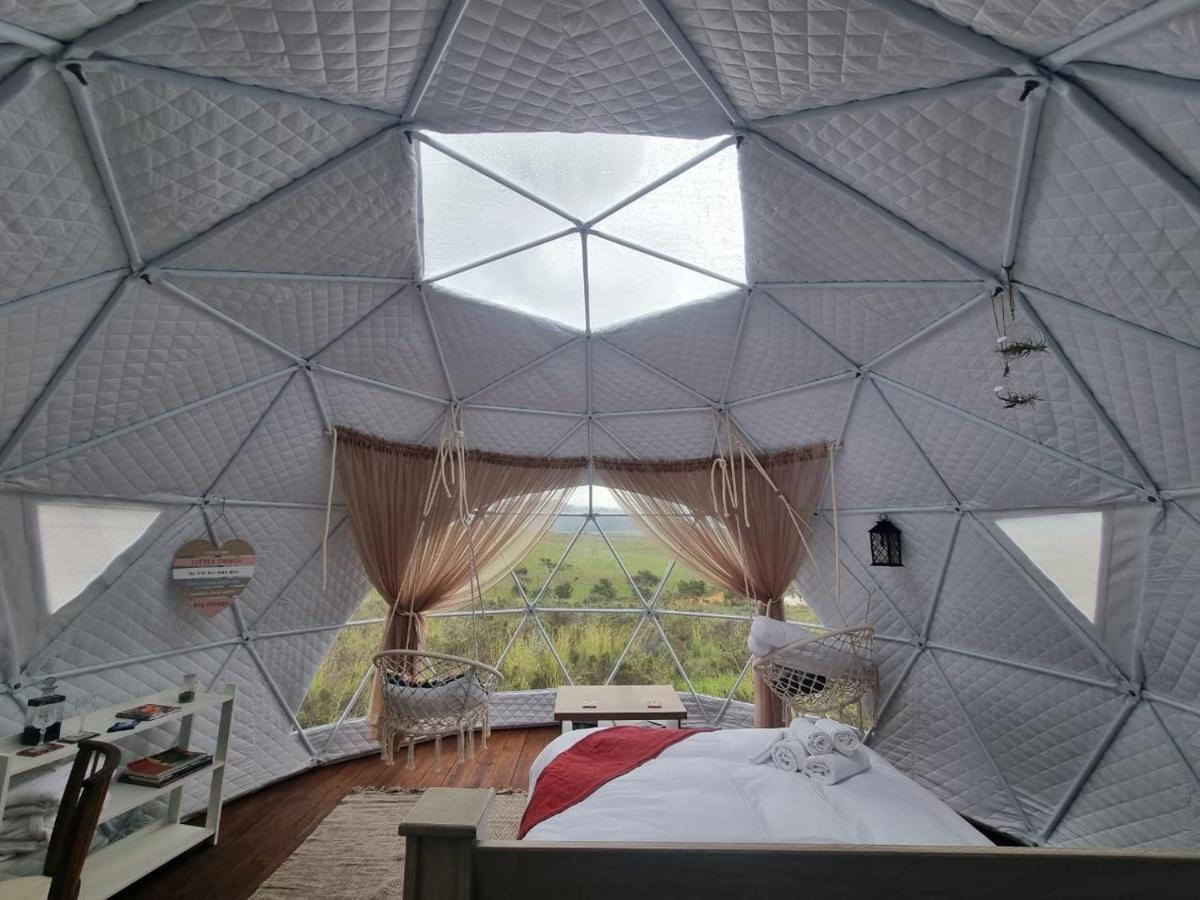 Pom Gratz - Ecodomes Hotel Hartebeesrivier Bagian luar foto