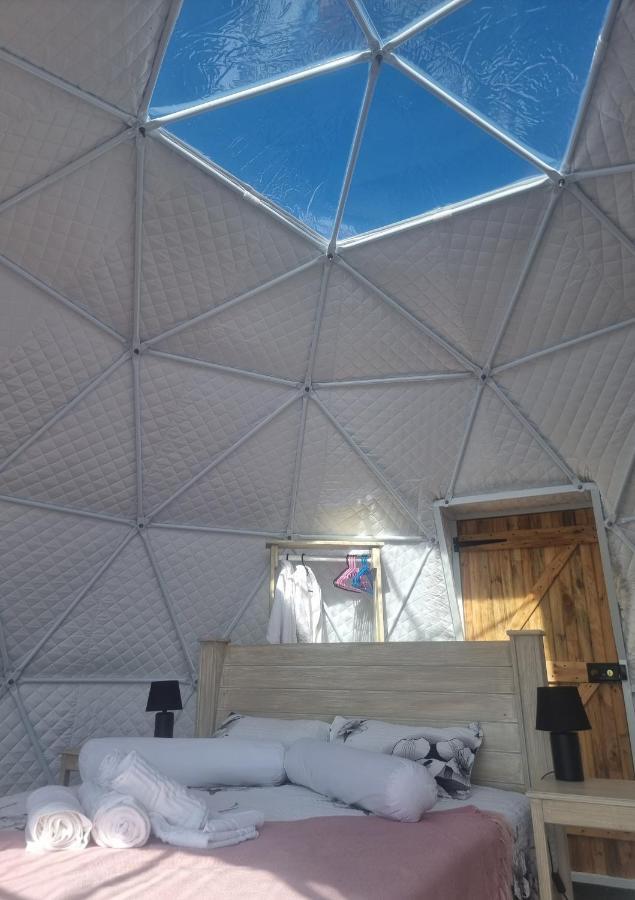 Pom Gratz - Ecodomes Hotel Hartebeesrivier Bagian luar foto