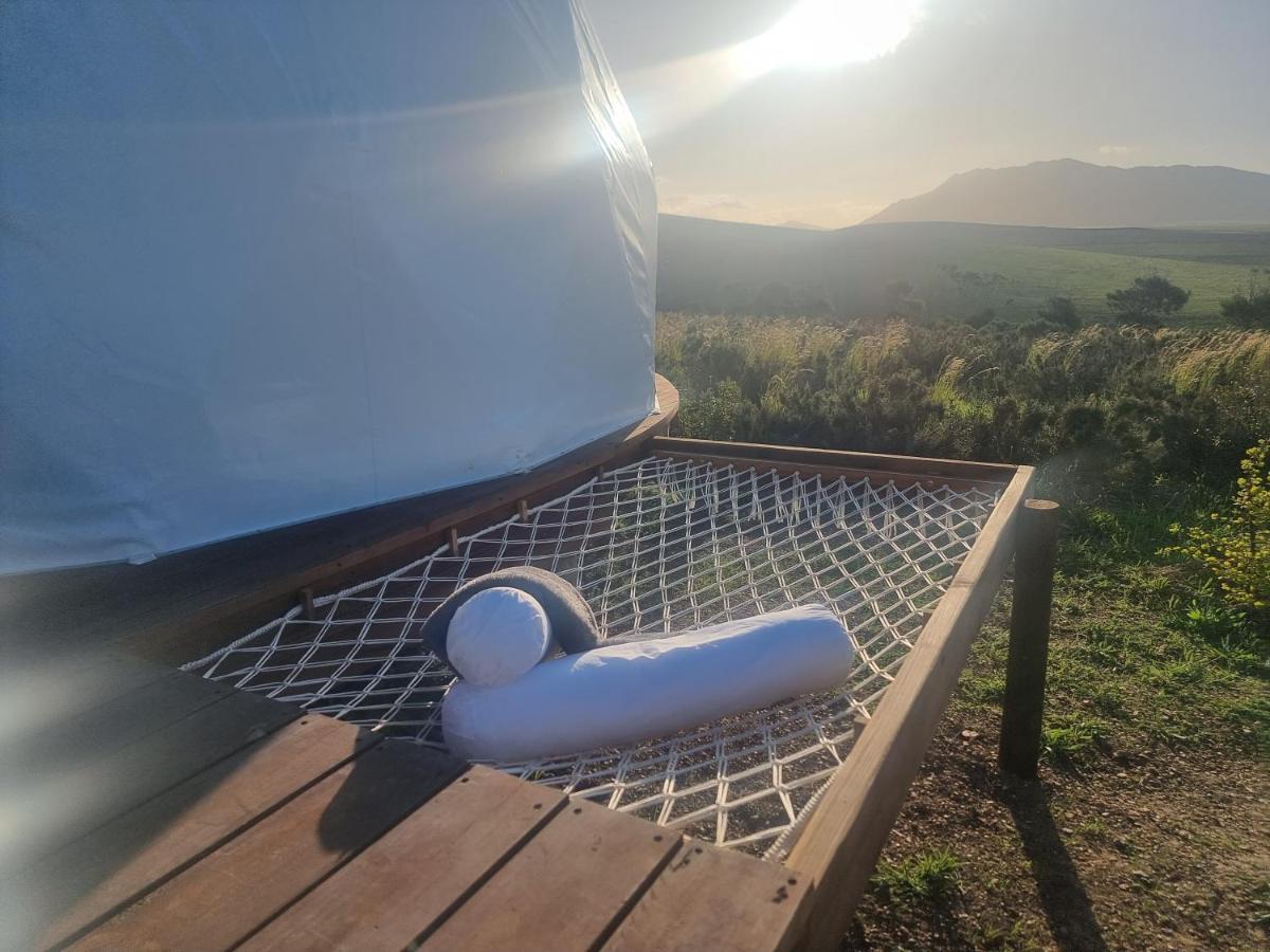 Pom Gratz - Ecodomes Hotel Hartebeesrivier Bagian luar foto