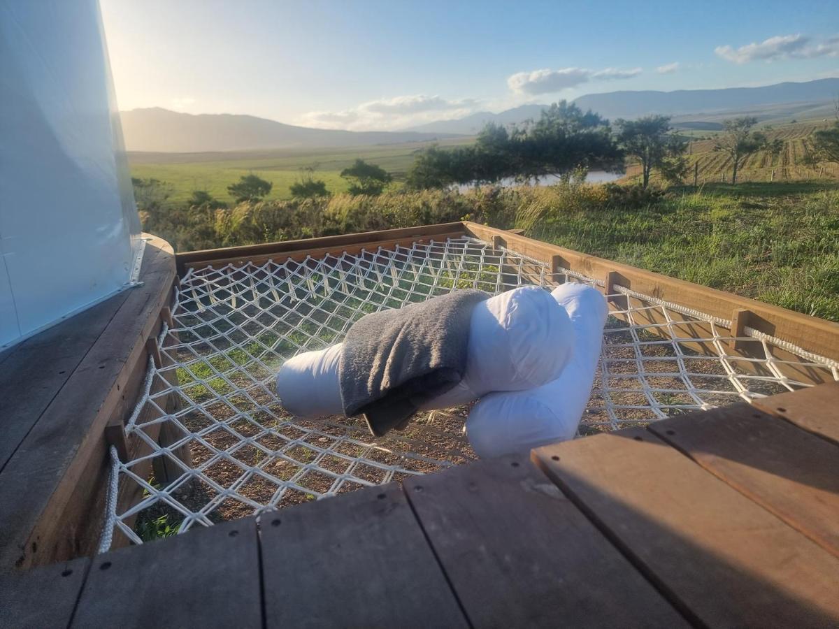 Pom Gratz - Ecodomes Hotel Hartebeesrivier Bagian luar foto