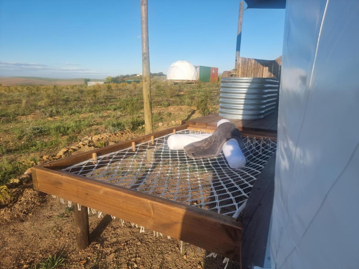 Pom Gratz - Ecodomes Hotel Hartebeesrivier Bagian luar foto