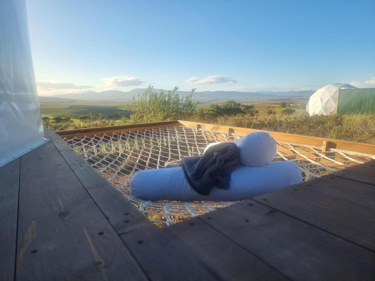 Pom Gratz - Ecodomes Hotel Hartebeesrivier Bagian luar foto