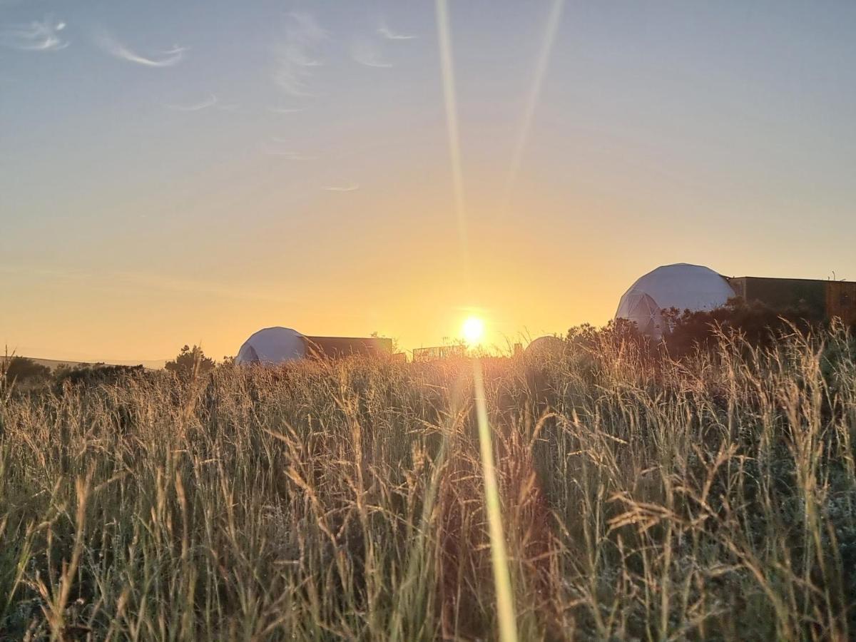 Pom Gratz - Ecodomes Hotel Hartebeesrivier Bagian luar foto