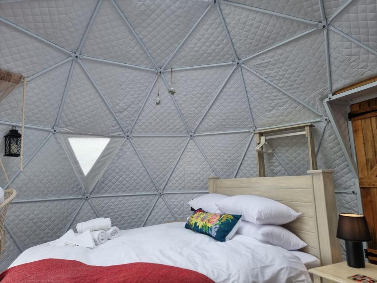 Pom Gratz - Ecodomes Hotel Hartebeesrivier Bagian luar foto