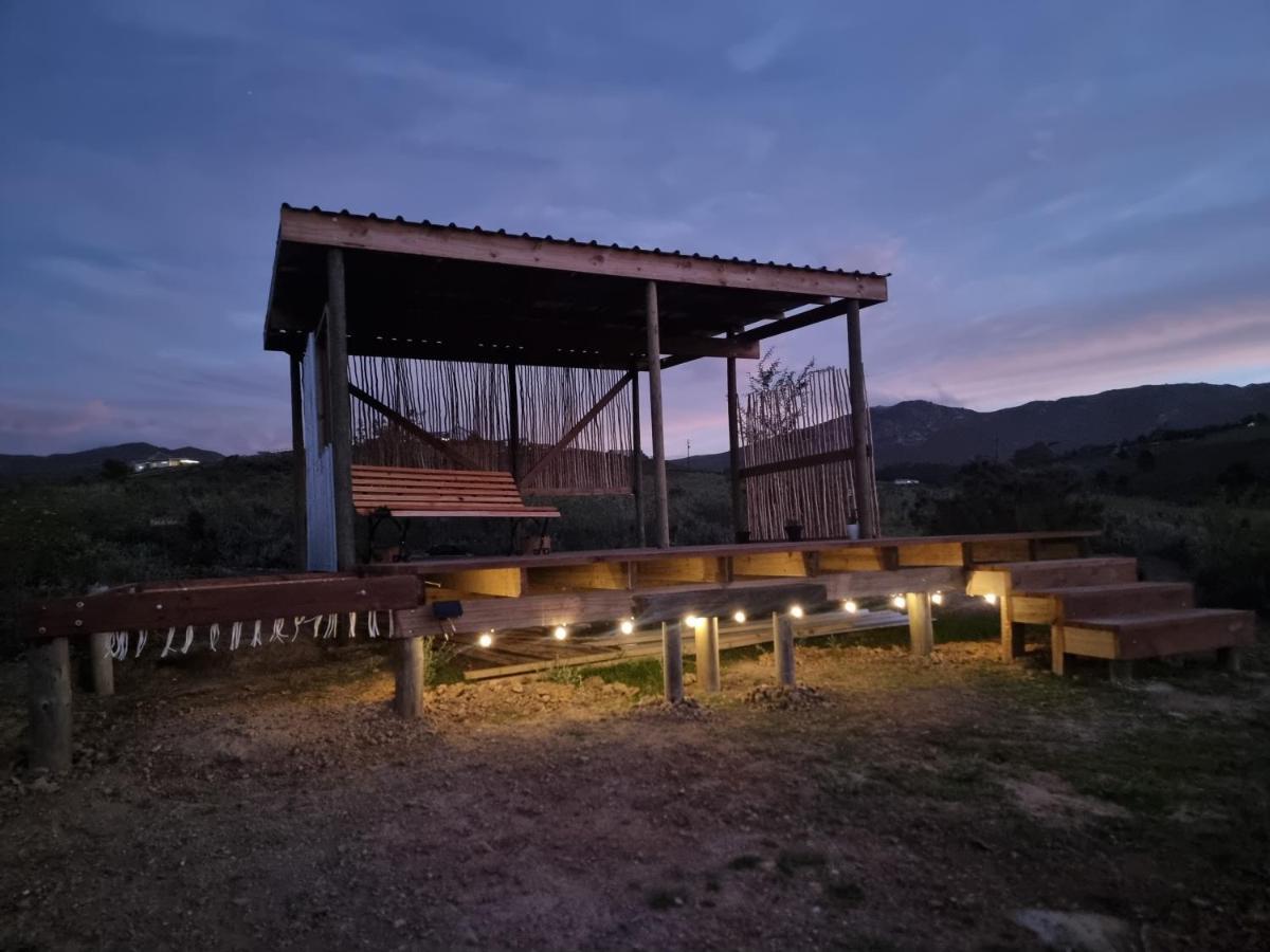 Pom Gratz - Ecodomes Hotel Hartebeesrivier Bagian luar foto