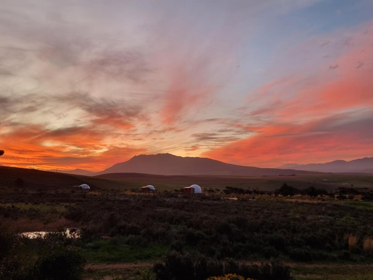 Pom Gratz - Ecodomes Hotel Hartebeesrivier Bagian luar foto