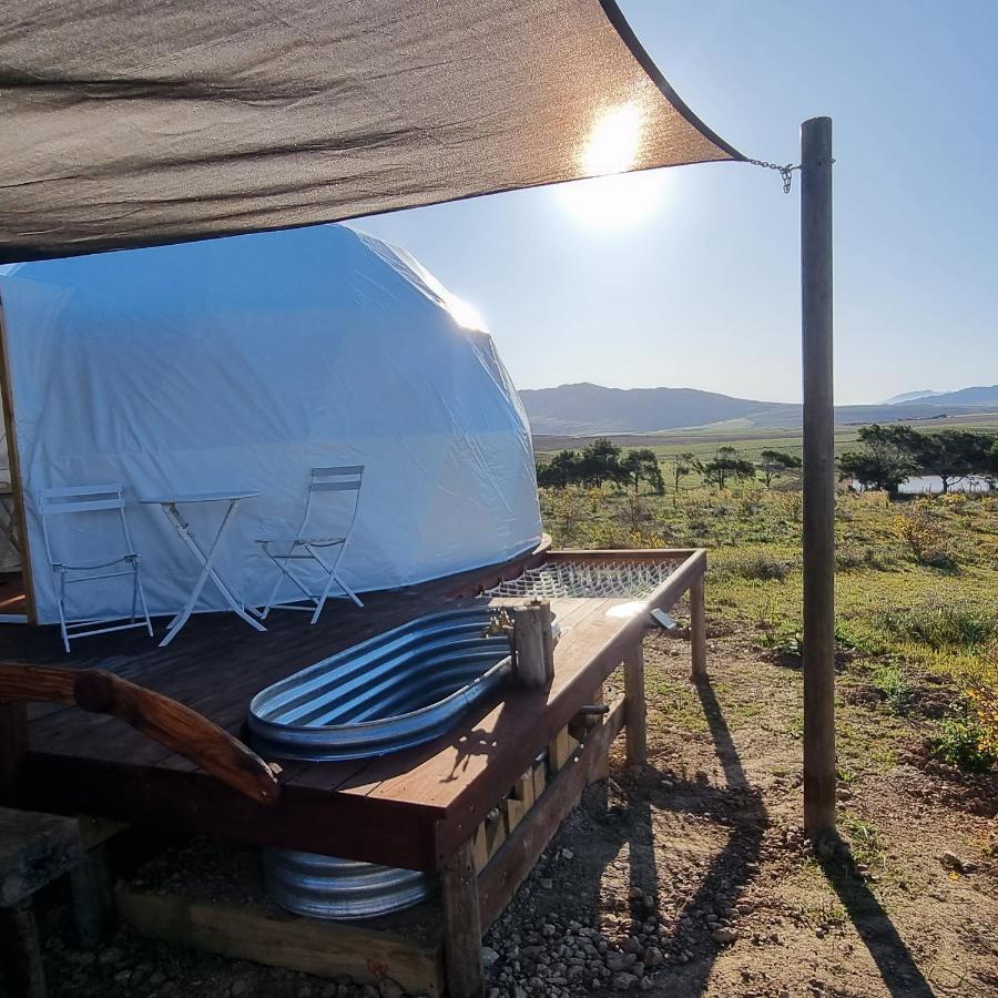 Pom Gratz - Ecodomes Hotel Hartebeesrivier Bagian luar foto