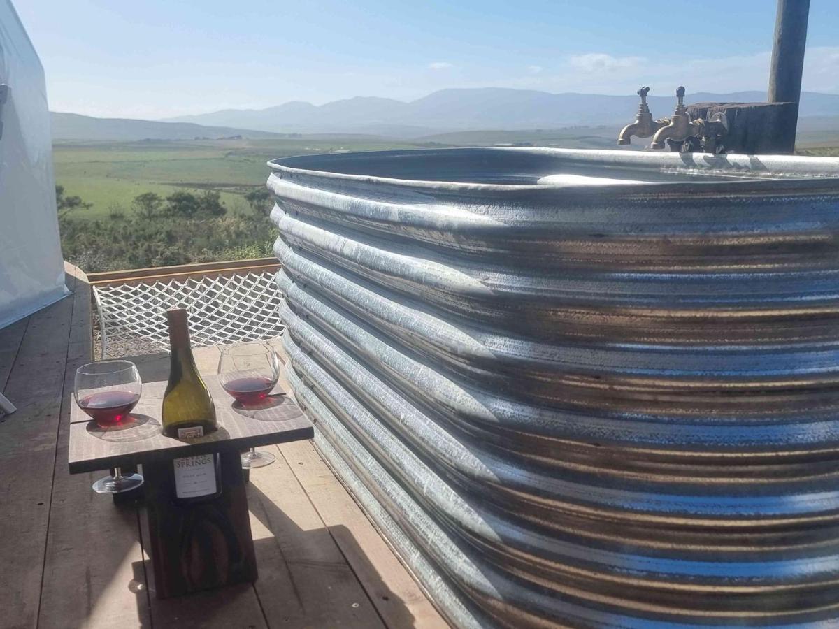 Pom Gratz - Ecodomes Hotel Hartebeesrivier Bagian luar foto