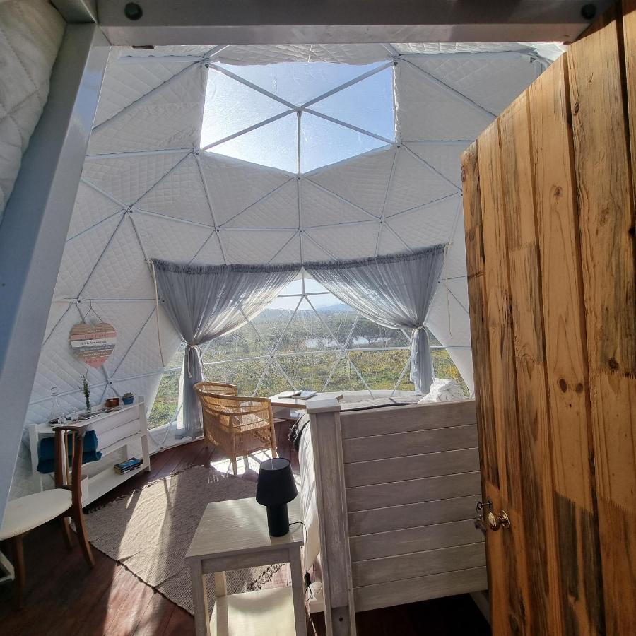 Pom Gratz - Ecodomes Hotel Hartebeesrivier Bagian luar foto